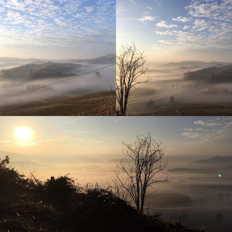 로디 Il Vigneto 게스트하우스 외부 사진